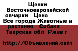 Щенки Восточноевропейской овчарки › Цена ­ 25 000 - Все города Животные и растения » Собаки   . Тверская обл.,Ржев г.